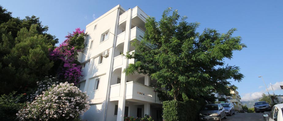 Second Image